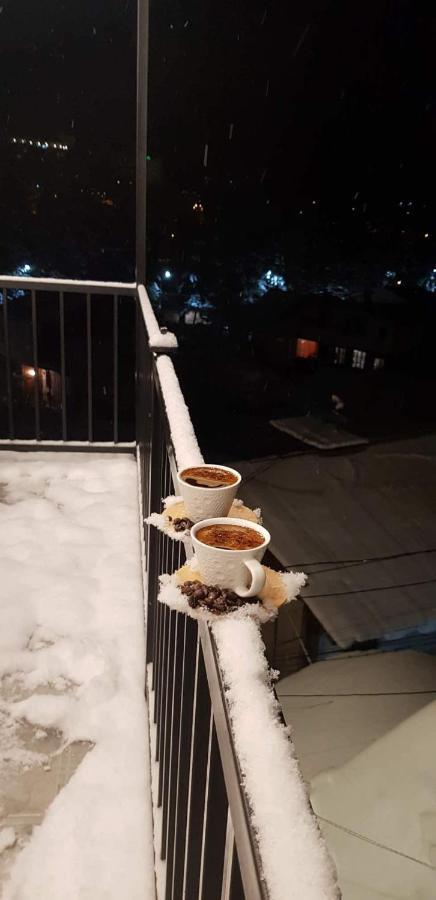 Golden Borjomi公寓式酒店 外观 照片